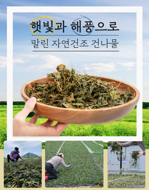 editor이미지