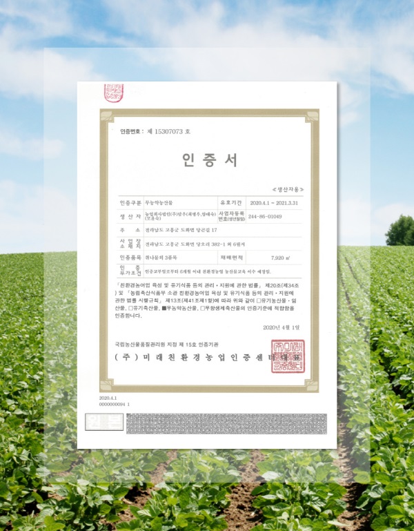 editor이미지