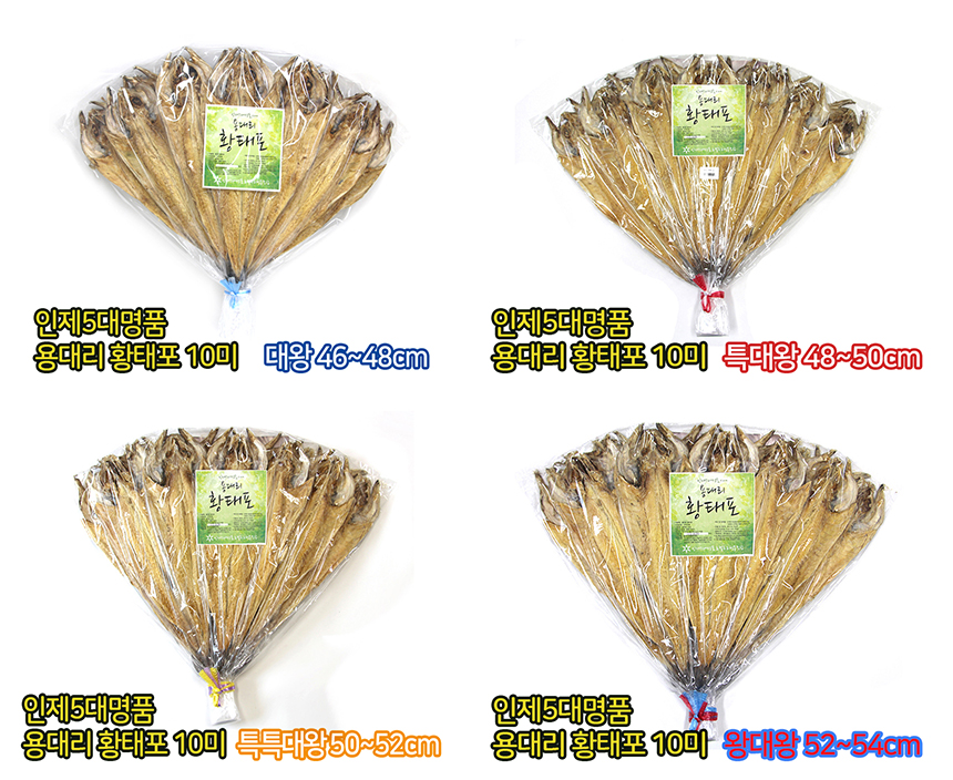 editor이미지